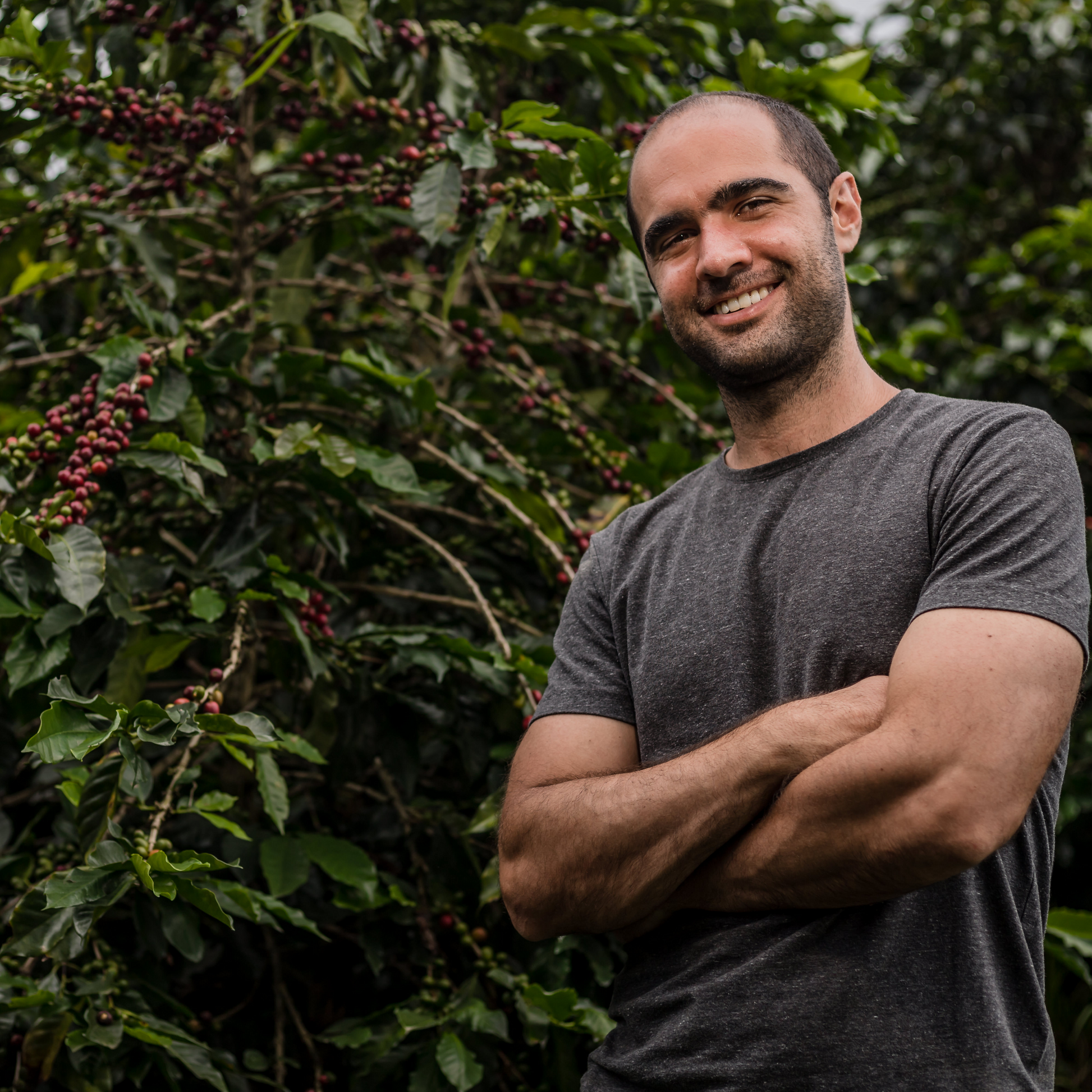 Manuel Londono, a coffee farmer, stands in front of a coffee tree.